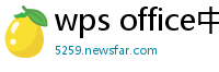 wps office中文版